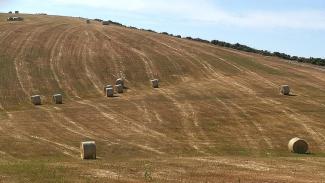 No esteu veient la meseta castellana, es tracta del pla de la Calma